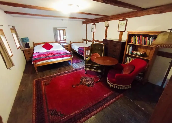 Dom wakacyjny Zimorodka *