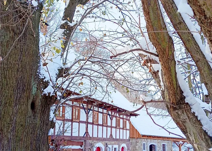 Zimorodka Pielgrzymka