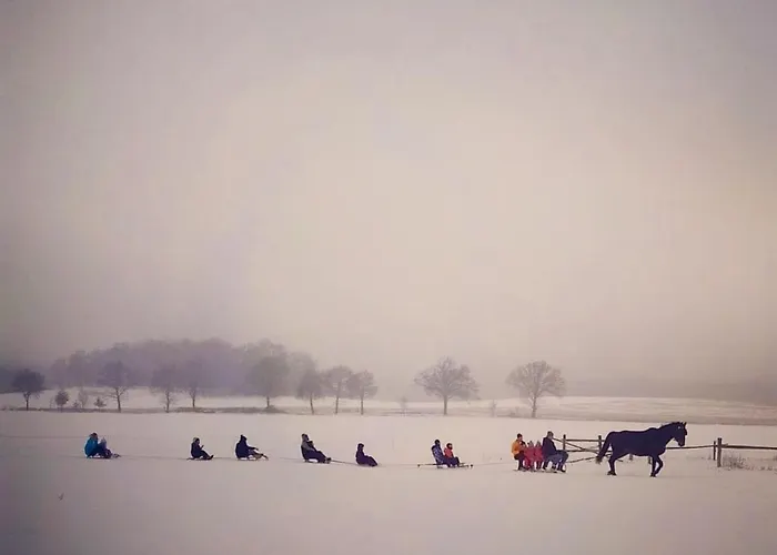 Zimorodka Dom wakacyjny *
